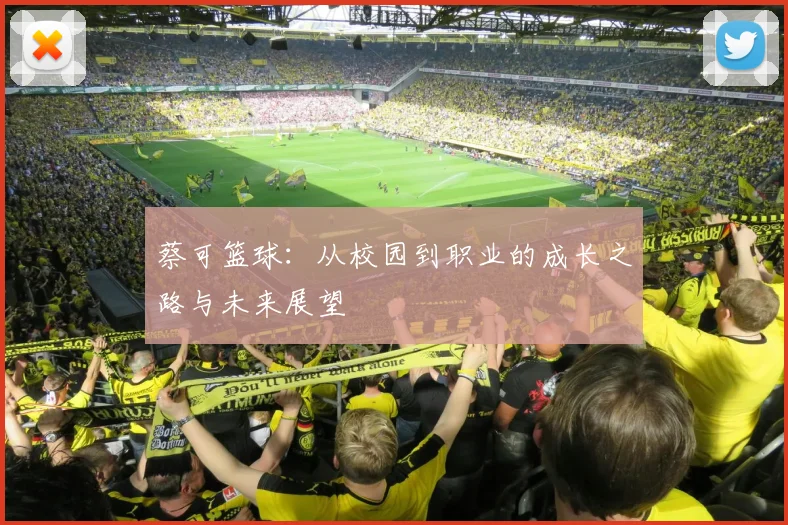 蔡可篮球：从校园到职业的成长之路与未来展望