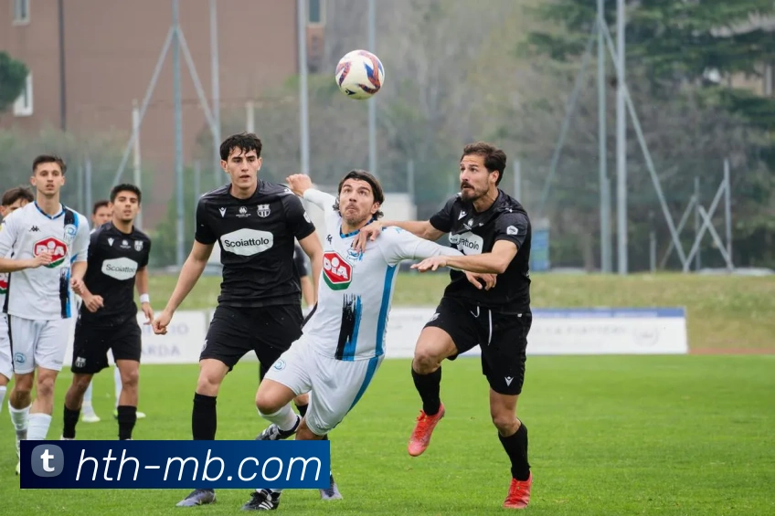 App Interface Preview